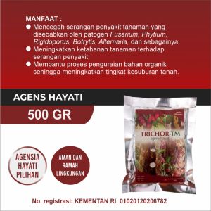 Trichoderma Fungisida Alami Penyakit Jamur Akar Putih Layu Fusarium & Busuk Buah