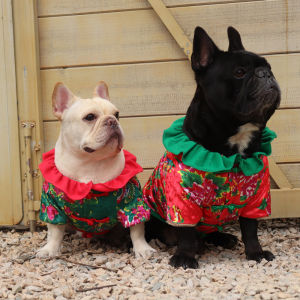 DY LOVING 2 Colors Pet Plus Velvet Shirt Chinese Characteristic Dog Clothes Petal Collar Dog Cat Coat for French Bulldog Chihuahua