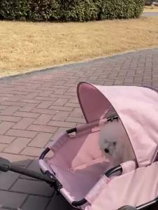 Small Dog Cart Trolley OutdoorCart Oxford Lightweight Foldable with Sunshade TravelStrollers Trolley