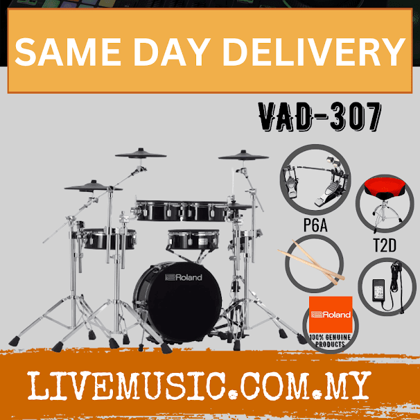 Roland VAD307 V-Drums Acoustic Design Electronic Drum Kit w/Pedal And ...