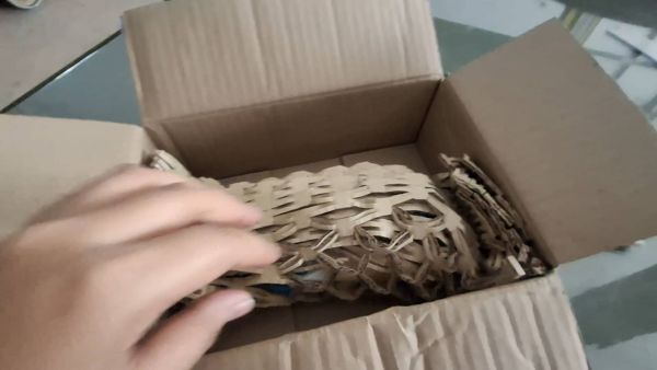 Buyer review video 2