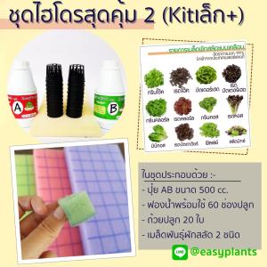 ชุดปลูกผัก สลัด สุดคุ้ม 2 (Kit เล็ก Plus) ไฮโดรโปนิกส์ DIY ปุ๋ย 500ml-AB 1 คู่ เมล็ดสลัดเคลือบ 2 ชนิด ฟองน้ำปลูก ถ้วยปลูก คู่มือ แถมหลอดวงปุ๋ย