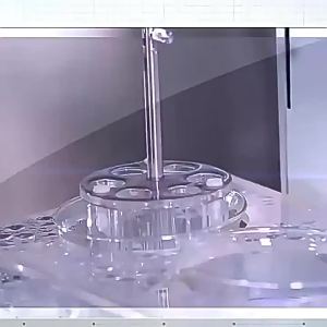 Ashwagandha Maca Health Supplement Capsules AliExpress European and American Independent Station Source Factory