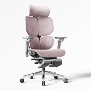 Hinomi X2 Pro Ergonomic Home Office Chair With 3D Back Support Footrest Gaming | Mesh Chair - X1 Successor
