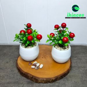 TANAMAN BUAH PLASTIK BUAH POT HIAS BUNGA PLASTIK TANAMAN ARTIFISIAL BUAH DEKORASI BUNGA POT TANAMAN PALSU BUAH PALSU DEKORASI RUMAH MURAH BAYAR DI TEMPAT