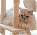 NHÀ CÂY CHO MÈO BẰNG GỖ - CATTREE TRỤ CÀO MÓNG CHO MÈO - NHÀ MÈO 4 MÙA. 