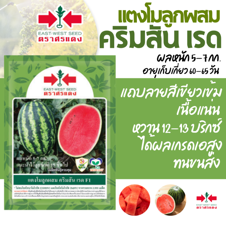 เมล็ดพันธุ์แตงโม คริมสันเรด ศรแดง เนื้อแดงแน่นกรอบ