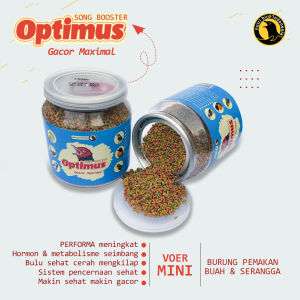song booster OPTIMUS gacor maximal burung pleci tledekan robin prenjak ciblek gelatik robin cirpu citu