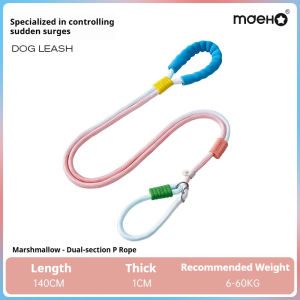 New Model Traction Rope Explosion-Proof P Rope for Small and Medium Dogs Anti-Escape P Chain for Large Dogs Dog Leash Collar for Walking Dogs