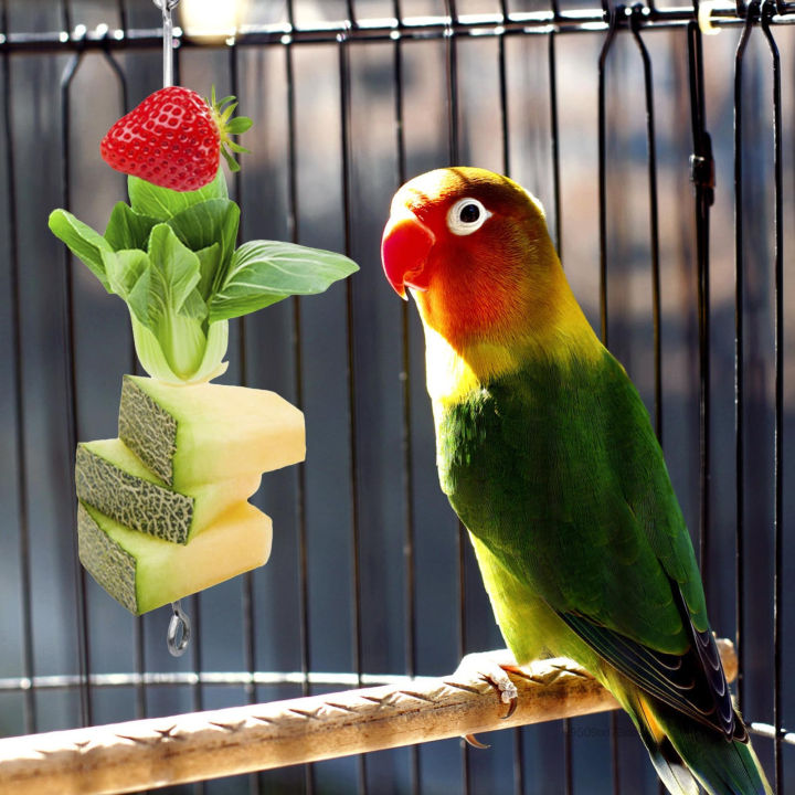 Thép không gỉ Đựng Thức Ăn Cho Chim Lồng Treo Có Móc Cho Chim Ăn Đồ ...