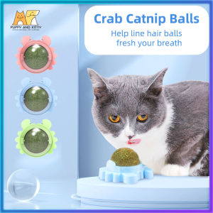 Cat mint ball Catnip cat snack treats toy ball