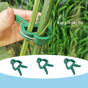 Kẹp giữ thân cà chua dưa leo hoa hồng chuyên dụng