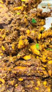 🌶 แท้พัทลุง 1000% ขนาด 190กรัม + 380กรัม จัดโปพิเศษ หรอยแรง กระเป๋าใต้ที่น่าสนใจ