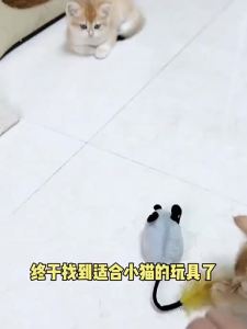 Cat Mouse Interactive Plush Toys LED Glow Electric Telecontrol Auto RechargeableMoving Mice Toy Realistic Kitten