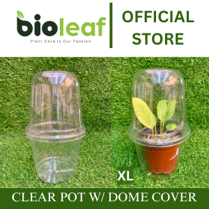 Clear Pot with Dome Cover/Propagating Clear Pot with Dome Cover /For Plants