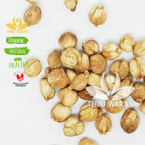 Grade A!! Kapulaga 500gr / Kapulogo atau Kapol Putih Kering Organik