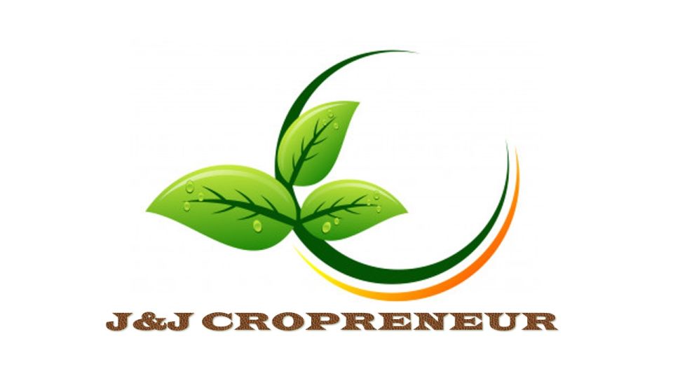 CALCIUM NITRATE 1KG (NPK 15.5-0-0) WATER SOLUBLE FERTILIZER BY AGWAY