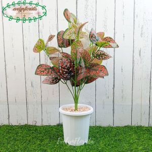 Pohon Artificial Tanaman Hias Aglonema Ruby X9 Pot Putih YogapYPT10 Dekorasi Apartement