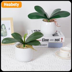 【2-3 days delivery】 Orchid Leaves Artificial Phalaenopsis Stems Leaf Faux Cymbidium Flower Foliage Green Real Touch Latex Bulk Home Decor