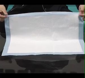 Ready Stock  Wee Wee Pad 45x60cm - 50pcs / Pee Pad / Training Pad / Urine Pad
