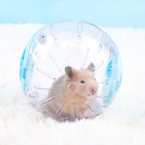 Hamster Running Ball Exercise Wheel Small Pet Ball