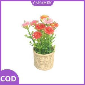 CANAMEK✨ Nhà búp bê 1:12 thu nhỏ hoa cúc cây bạc hà chậu cây nhỏ màu xanh lá cây trồng trong chậu cây mô phỏng cây mô hình nhà vườn đồ chơi trang trí