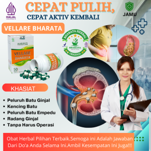 Obat Batu Empedu Paling Ampuh - Obat Peluruh Batu Ginjal - Obat Kencing Batu Vellare Bharata Original 100%