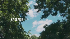 Kids Explorer Vest Hat Costume Backyard Safari Cargo Vest Outdoor Activity Kit Outdoor Adventure Camping Gear Costumes