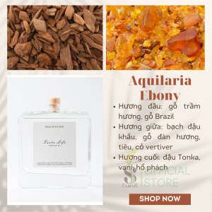 Tinh Dầu Thơm Phòng Nước Hoa Khuếch Tán Cao Cấp Home Decorarion