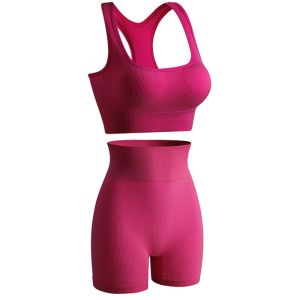 FOUNDTWO 2 Pieces Không đường may Trang phục tập luyện Eo cao ngắn Có gân Bộ áo ba lỗ Yoga Thoáng khí Áo ngực thể thao Bộ đồ hoạt động phù hợp với cây trồng Phụ nữ