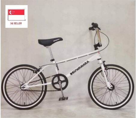 Kuwahara exhibitionism 2024 for sale