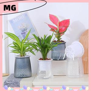 【Magical House】[ New Hot Fashion] Double-layer Self Watering Plant Pot Transparent Plastic Flower Vase Automatic Lazy Potted Flower Pot Hydroponic Flowerpot Decor
