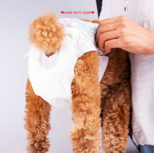 Bỉm quần cho Chó Mèo tã dán cho Mèo loại tốt - Love Pets Shop