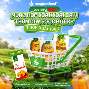 Xoài Sấy Dẻo NONGLAMFOOD Hàng Chuẩn Xuất Khẩu Dẻo Mềm tự Nhiên Trái Cây Sấy Dẻo Đồ Ăn Vặt Hộp 500g