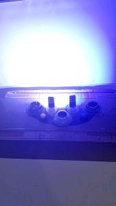 Lampu Led T10 Strobo flash canbus rem senja superbright