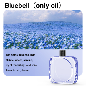 Aroma Diffuser Automatic Aromatherapy Machine Home Rechargeable Air Freshener Spray Wall Mounted Expanding Aromatherapy
