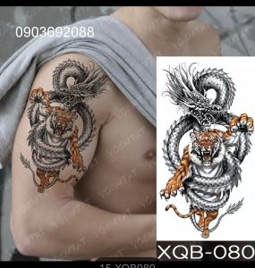 Tattoo Dragon 12x19cm Hình Xăm Dán Con Rồng Hình Xăm Dán Chống Nước HCM Sticker Tattoo lớn