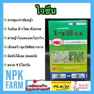 เข้แดง ไวซีน ขนาด 1 กิโลกรัม คุมและกำจัดวัชพืชใน ข้าวโพด อ้อยและสับปะรด ได้ทุกหญ้า ฉีดทับได้ ปลอดภัย เห็นผลไว คุมหญ้าได้นาน สูตรพิเศษ