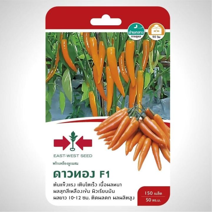 เมล็ดพันธุ์พริกเหลือง ดาวทอง SD/F1-108 ศรแดง ผลดก สีสวย