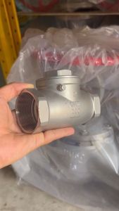Van Một Chiều Lá Lật Inox 304 Ren Trong Kích Thước 21mm–49mm s50