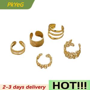 PkYeG 5Pcs Set Of Simple Personality Ear Cuff Alloy Jewelry Classic Ear Accessories For Women Daily Party Wear
