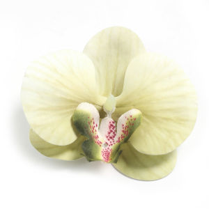 Artificial Butterfly Orchid Flower Head Wedding Party Home Flower Wall Background Decoration Silk Phalaenopsis Flowers DIY Headdress Floral Bouquet Gift Decor Simulation Flowers