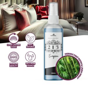 Aromique 213 EVERGREEN Disinfectant Room and Linen Disinfectant Spray Home Scents Fragrances