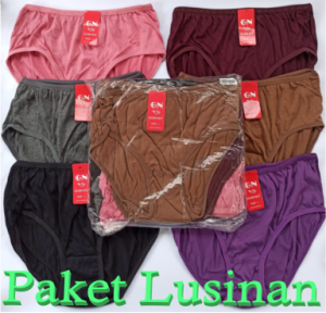 Golden Nick - 1 Lusin - 12 Pcs Celana Dalam Wanita - Pakaian Dalam Wanita - CD Wanita - Bahan Berkualitas - Aatik Store