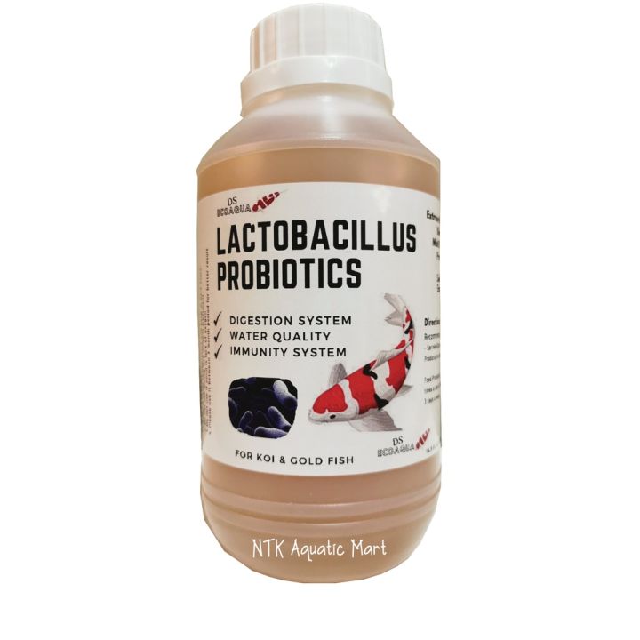 [PROBIOTIC 500ml] Pure Lactobacillus Probiotics improve digestion