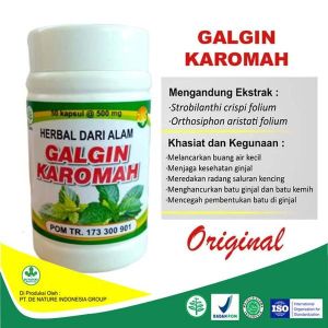 Obat ginjal kronis herbal paling ampuh gagal ginjal infeksi ginjal ginjal bocor batu ginjal ginjal bengkak tanpa cuci darah sakit di bagian pinggang herbal GALGIN KAROMAH DE NATURE