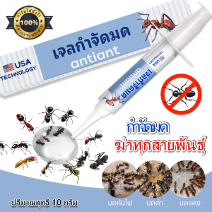 Muki เจลกำจัดมดสูตรเข้มข้น แพคเดี่ยว กำจัดมดทุกสายพันธุ์ สีเทา