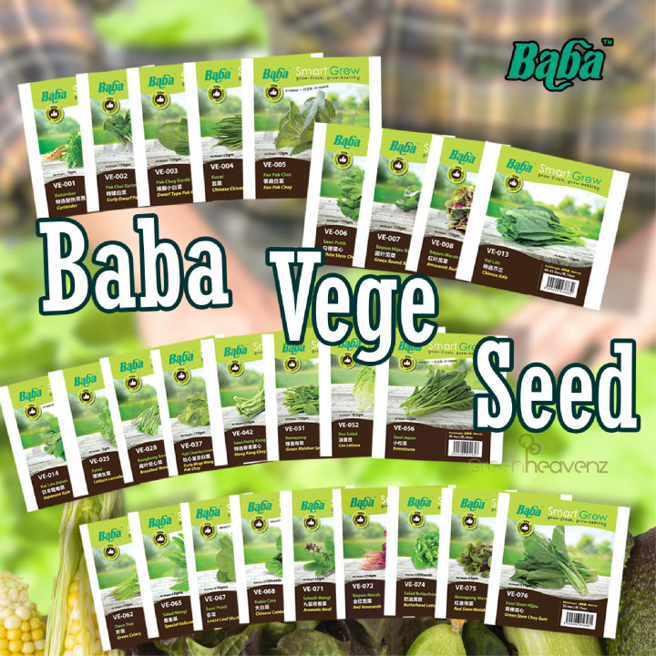 GHZ Baba Seed Biji Sayur Vegetable Seed Biji Benih Sayur Sayuran Seeds ...