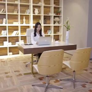 AUREO Boss Chair Light Luxury Office Chair Computer Influencer Paint Modern Conference Office Chair Comfortable Ode to Happiness Same