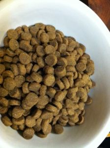 พร้อมส่ง ส่งไว 1 แถม 1 Taste of the Wild Rocky Mountain Feline 680g เทสต์ ออฟ เดอะ ไวลด์ อาหารแมวทุกวัย สูตรเนื้อกวางและแซลมอนรมควัน